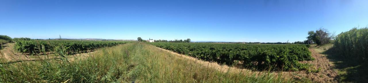 Вилла Domaine Limouzy Нарбонна Экстерьер фото