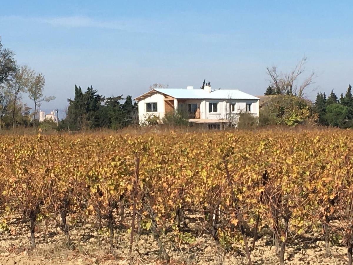 Вилла Domaine Limouzy Нарбонна Экстерьер фото